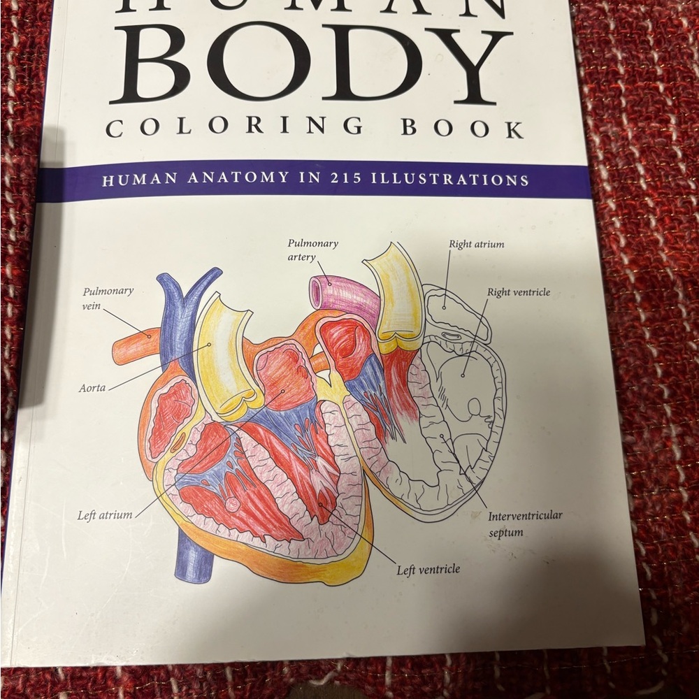 Human Body Coloring Book - Picture 14 of 15
